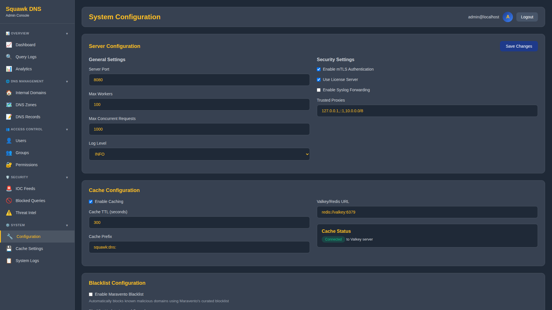 Squawk DNS server configuration screen